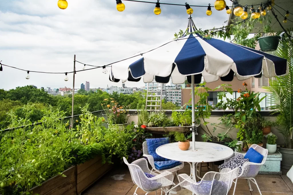 Tips for Growing a Lush Garden in the City